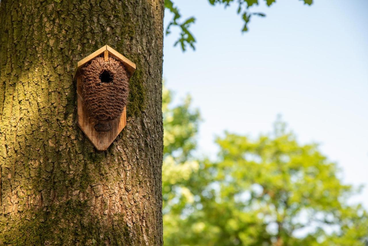 Nature Hideout At Veluwe Nature Park Putten Exterior photo